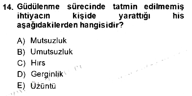 Satış Yönetimi 2014-2015 Dönem Sonu Sınavı - 14. soru