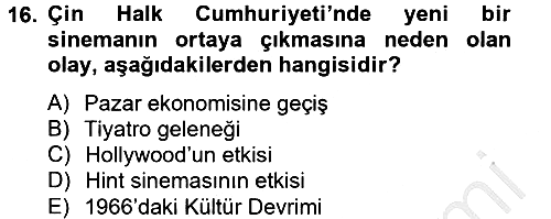 Film ve Video Kültürü 2012-2013 Ara Sınav - 16. soru