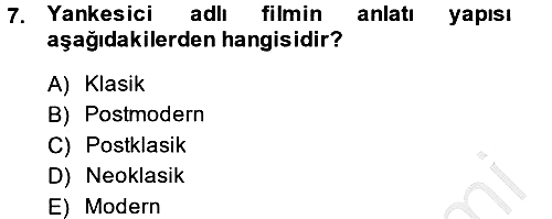 Film ve Video Kültürü 2013-2014 Ara Sınav - 7. soru