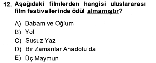 Film ve Video Kültürü 2013-2014 Ara Sınav - 12. soru