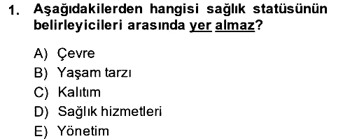 Sağlık Kurumları Yönetimi 1 2014-2015 Ara Sınav - 1. soru