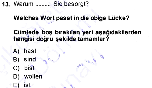 Almanca - 1 2013-2014 Dönem Sonu Sınavı - 13. soru