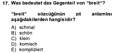 Almanca - 1 2014-2015 Dönem Sonu Sınavı - 17. soru