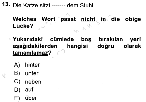 Almanca - 2 2023-2024 Ara Sınav - 13. soru