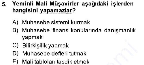 Denetim 2013-2014 Ara Sınav - 5. soru