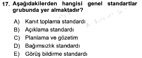 Denetim 2016-2017 Ara Sınav - 17. soru
