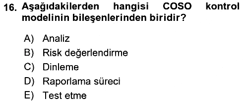 Denetim 2018-2019 Ara Sınav - 16. soru