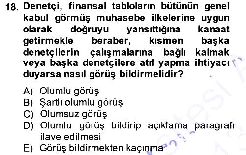 Denetim 2012-2013 Dönem Sonu Sınavı - 18. soru