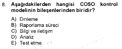 Denetim 2012-2013 Tek Ders Sınavı - 8. soru