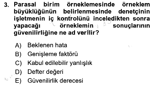 Denetim 2024-2025 Yaz Okulu Sınavı - 3. soru