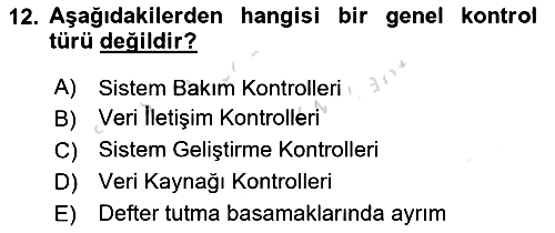 Denetim 2024-2025 Yaz Okulu Sınavı - 12. soru