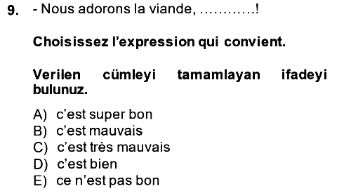 Fransızca - 1 2014-2015 Ara Sınav - 9. soru