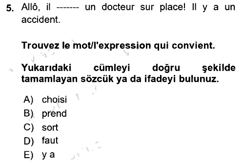 Fransızca - 1 2024-2025 Ara Sınav - 5. soru