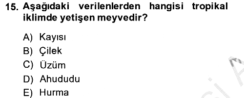 Genel Beslenme 2013-2014 Ara Sınav - 15. soru