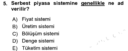 İktisada Giriş - 1 2016-2017 Ara Sınav - 5. soru