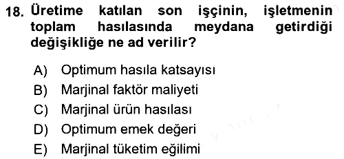 İktisada Giriş 2 2017-2018 Ara Sınav - 18. soru