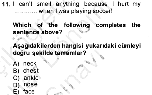 İngilizce - 2 2014-2015 Dönem Sonu Sınavı - 11. soru