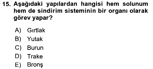 İnsan Beden Yapısı Ve Fizyolojisi 2017-2018 3 Ders Sınavı - 15. soru