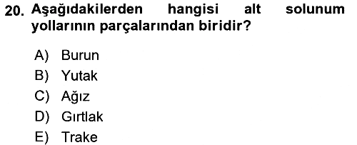 İnsan Beden Yapısı Ve Fizyolojisi 2017-2018 3 Ders Sınavı - 20. soru