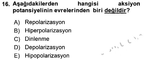 İnsan Beden Yapısı Ve Fizyolojisi 2016-2017 Ara Sınav - 16. soru