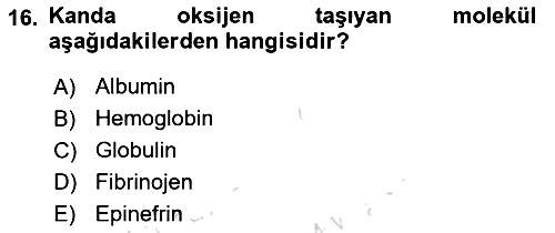 İnsan Beden Yapısı Ve Fizyolojisi 2022-2023 Ara Sınav - 16. soru