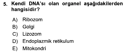 İnsan Beden Yapısı Ve Fizyolojisi 2025-2026 Ara Sınav - 5. soru