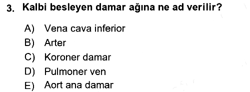 İnsan Beden Yapısı Ve Fizyolojisi 2018-2019 Dönem Sonu Sınavı - 3. soru