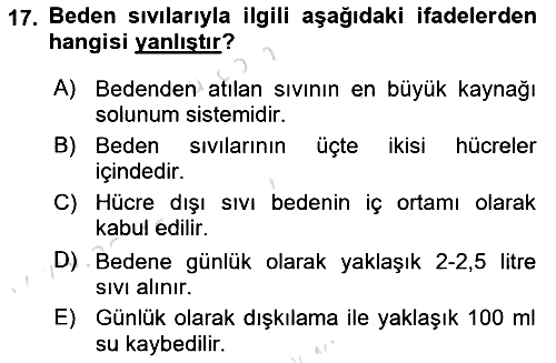 İnsan Beden Yapısı Ve Fizyolojisi 2019-2020 Dönem Sonu Sınavı - 17. soru