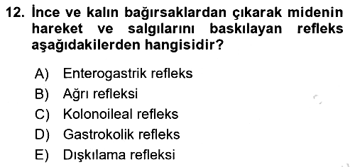 İnsan Beden Yapısı Ve Fizyolojisi 2022-2023 Yaz Okulu Sınavı - 12. soru