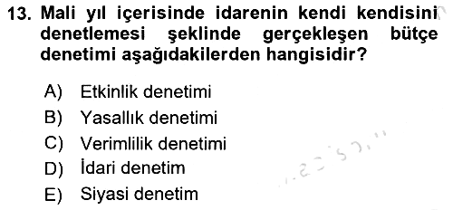 Kamu Maliyesi 2018-2019 3 Ders Sınavı - 13. soru