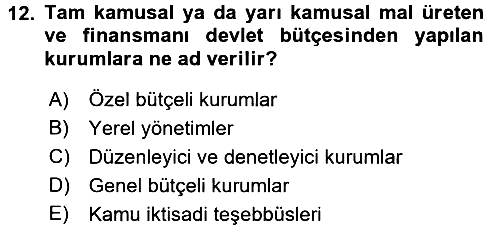 Kamu Maliyesi 2017-2018 Ara Sınav - 12. soru