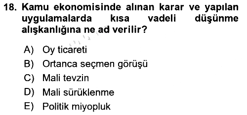 Kamu Maliyesi 2019-2020 Ara Sınav - 18. soru
