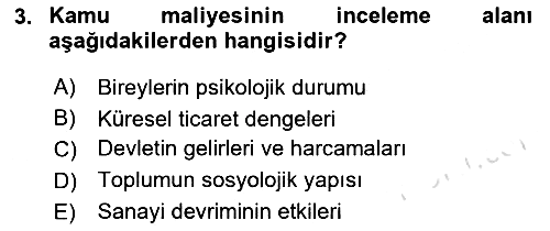 Kamu Maliyesi 2024-2025 Ara Sınav - 3. soru
