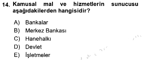 Kamu Maliyesi 2024-2025 Ara Sınav - 14. soru