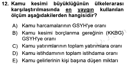 Kamu Maliyesi 2025-2026 Ara Sınav - 12. soru