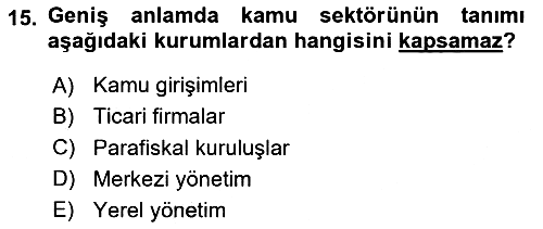 Kamu Maliyesi 2025-2026 Ara Sınav - 15. soru