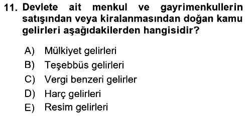 Kamu Maliyesi 2018-2019 Dönem Sonu Sınavı - 11. soru
