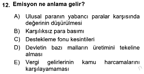Kamu Maliyesi 2024-2025 Dönem Sonu Sınavı - 12. soru