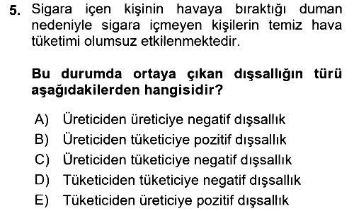 Kamu Maliyesi 2018-2019 Yaz Okulu Sınavı - 5. soru