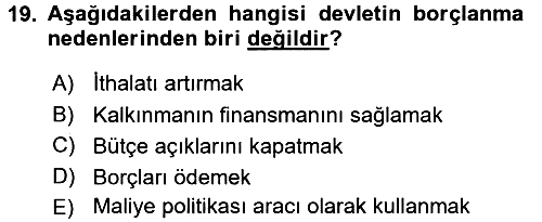Kamu Maliyesi 2018-2019 Yaz Okulu Sınavı - 19. soru