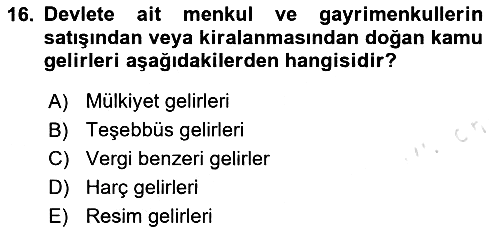 Kamu Maliyesi 2020-2021 Yaz Okulu Sınavı - 16. soru