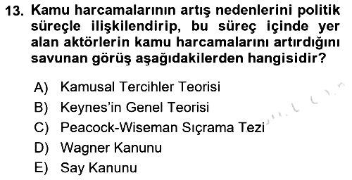 Kamu Maliyesi 2022-2023 Yaz Okulu Sınavı - 13. soru