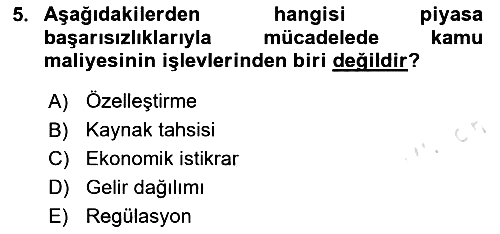 Kamu Maliyesi 2024-2025 Yaz Okulu Sınavı - 5. soru