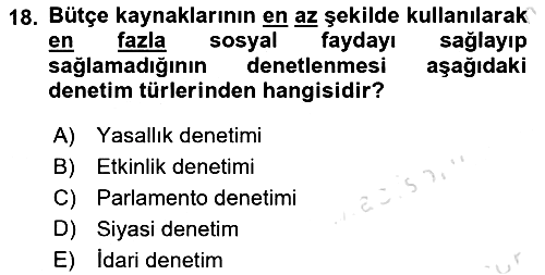 Kamu Maliyesi 2024-2025 Yaz Okulu Sınavı - 18. soru