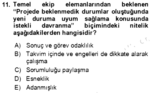 Proje Yönetimi 2023-2024 Dönem Sonu Sınavı - 11. soru