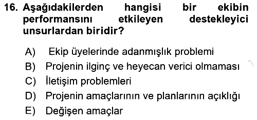 Proje Yönetimi 2024-2025 Yaz Okulu Sınavı - 16. soru