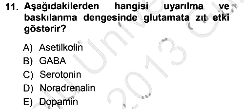 Psikoloji 2012-2013 Ara Sınav - 11. soru