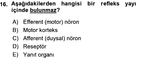 Psikoloji 2015-2016 Ara Sınav - 16. soru
