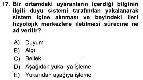Psikoloji 2024-2025 Ara Sınav - 17. soru