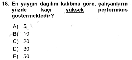 Sağlık İşletmeciliği 2024-2025 Yaz Okulu Sınavı - 18. soru
